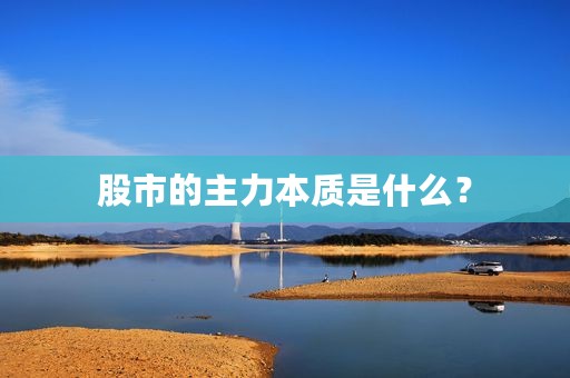 股市的主力本质是什么？