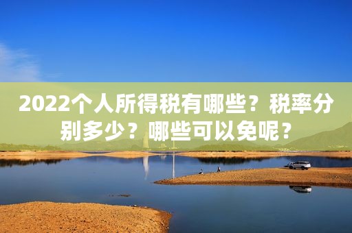 2022个人所得税有哪些？税率分别多少？哪些可以免呢？