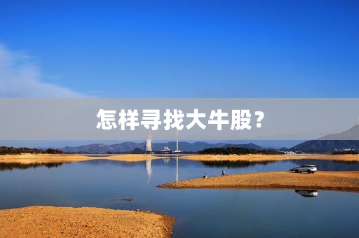 怎样寻找大牛股？