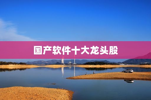 国产软件十大龙头股