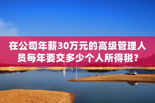 在公司年薪30万元的高级管理人员每年要交多少个人所得税？