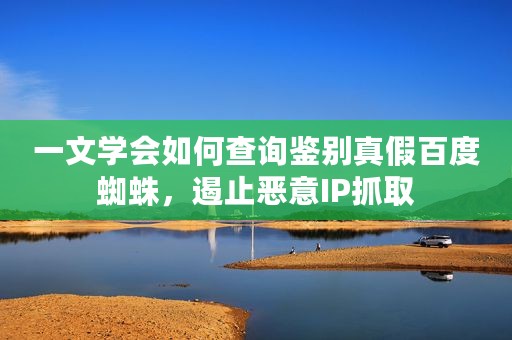 一文学会如何查询鉴别真假百度蜘蛛，遏止恶意IP抓取