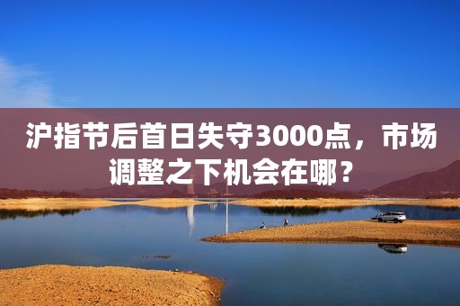 沪指节后首日失守3000点，市场调整之下机会在哪？
