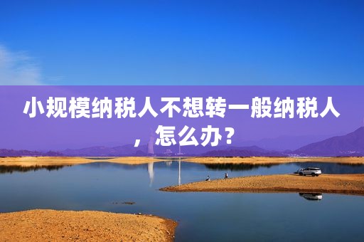 小规模纳税人不想转一般纳税人，怎么办？