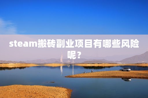 steam搬砖副业项目有哪些风险呢？