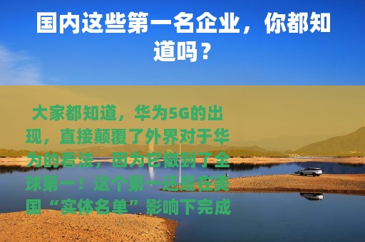 国内这些第一名企业，你都知道吗？