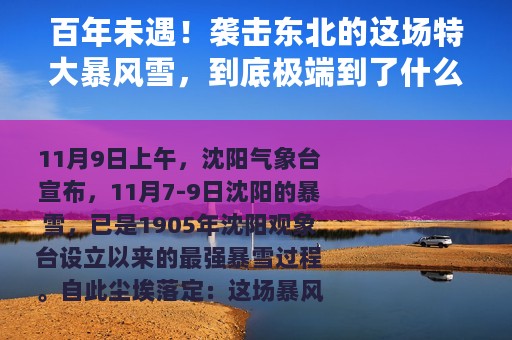 百年未遇！袭击东北的这场特大暴风雪，到底极端到了什么程度