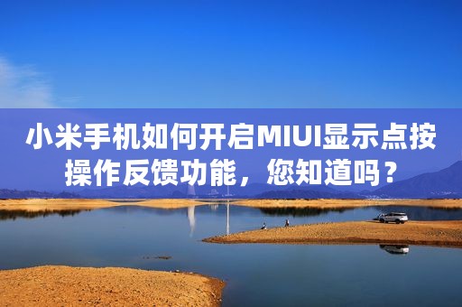 小米手机如何开启MIUI显示点按操作反馈功能，您知道吗？