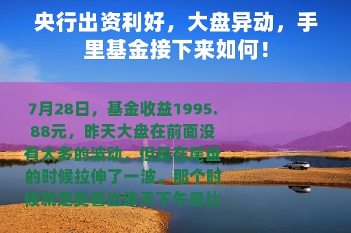 央行出资利好，大盘异动，手里基金接下来如何！