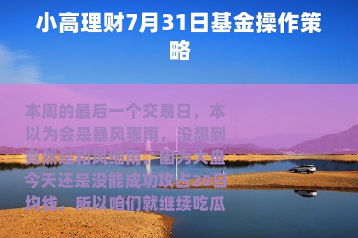 小高理财7月31日基金操作策略