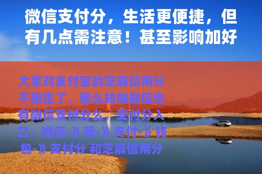 微信支付分，生活更便捷，但有几点需注意！甚至影响加好友