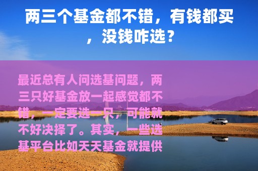 两三个基金都不错，有钱都买，没钱咋选？