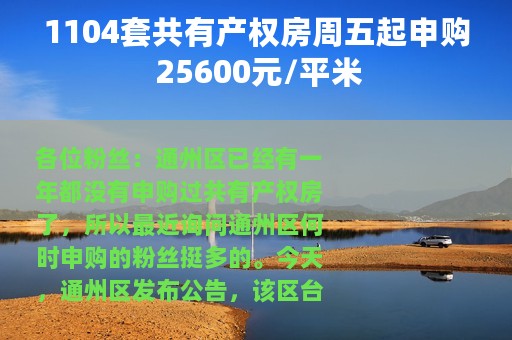 1104套共有产权房周五起申购 25600元/平米