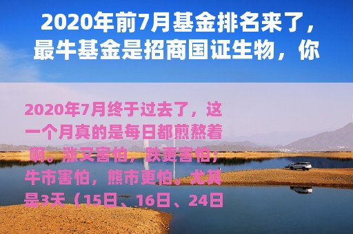2020年前7月基金排名来了，最牛基金是招商国证生物，你买了吗？