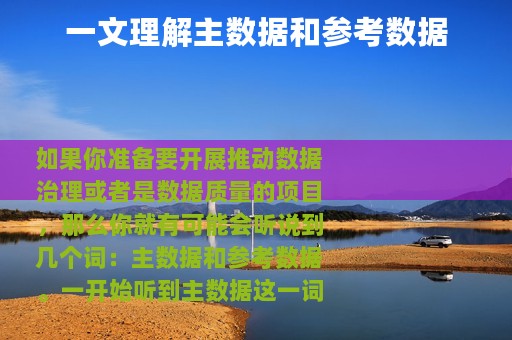 一文理解主数据和参考数据