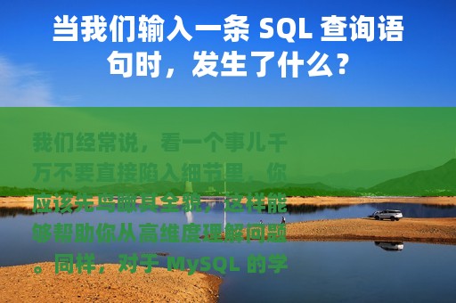 当我们输入一条 SQL 查询语句时，发生了什么？