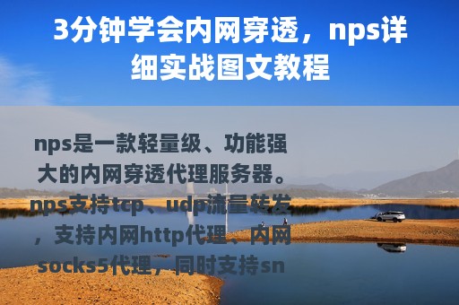 3分钟学会内网穿透，nps详细实战图文教程