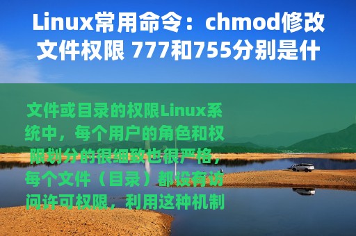 Linux常用命令：chmod修改文件权限 777和755分别是什么意思？