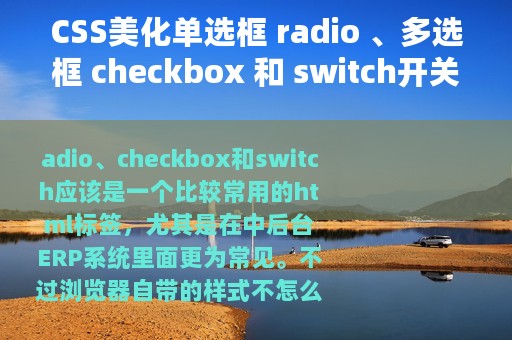 CSS美化单选框 radio 、多选框 checkbox 和 switch开关按钮