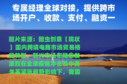 专属经理全球对接，提供跨市场开户、收款、支付、融资一站式服务