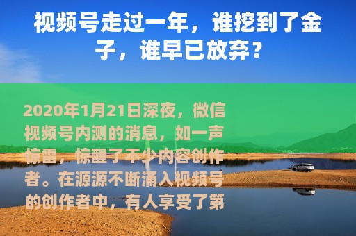 视频号走过一年，谁挖到了金子，谁早已放弃？