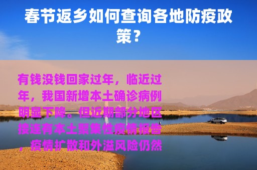春节返乡如何查询各地防疫政策？