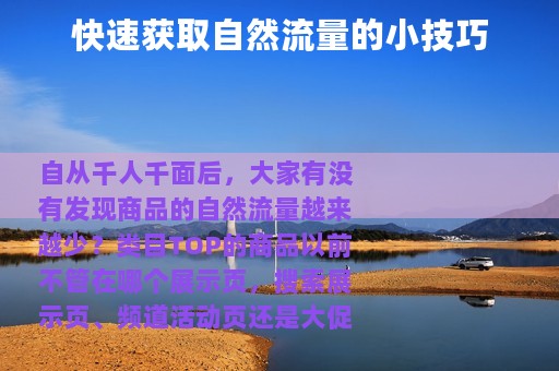 快速获取自然流量的小技巧