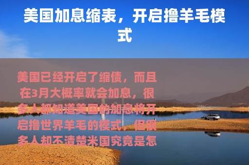 美国加息缩表，开启撸羊毛模式