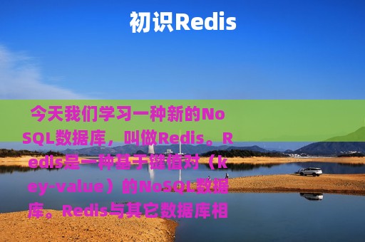 初识Redis