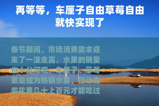 再等等，车厘子自由草莓自由就快实现了