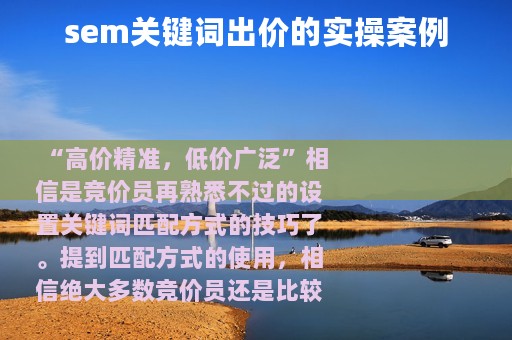 sem关键词出价的实操案例