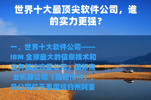 世界十大最顶尖软件公司，谁的实力更强？