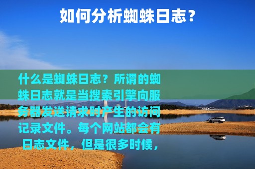 如何分析蜘蛛日志？