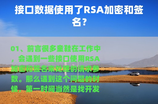 接口数据使用了RSA加密和签名？