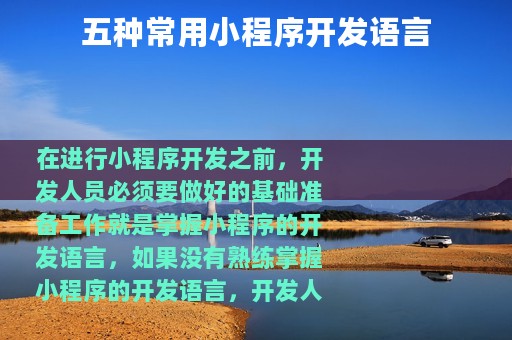 五种常用小程序开发语言