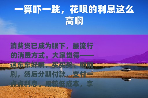 一算吓一跳，花呗的利息这么高啊