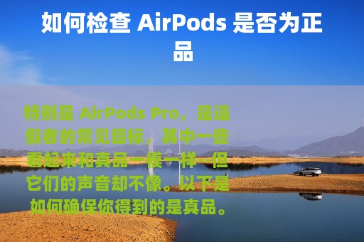 如何检查 AirPods 是否为正品