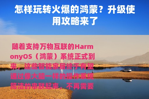 怎样玩转火爆的鸿蒙？升级使用攻略来了