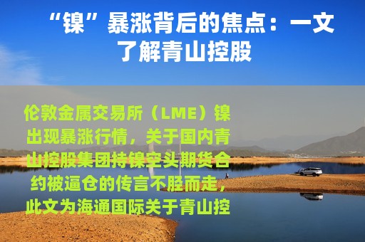 “镍”暴涨背后的焦点：一文了解青山控股