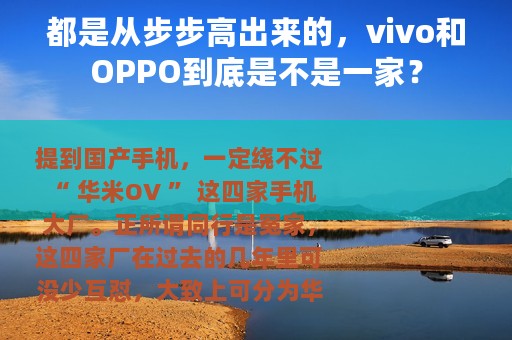 都是从步步高出来的，vivo和OPPO到底是不是一家？