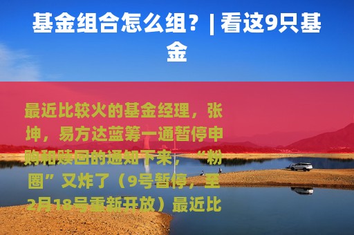 基金组合怎么组？| 看这9只基金