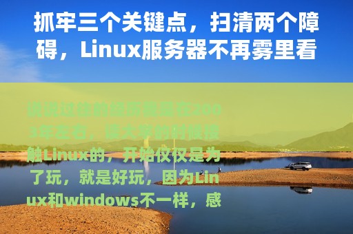 抓牢三个关键点，扫清两个障碍，Linux服务器不再雾里看花
