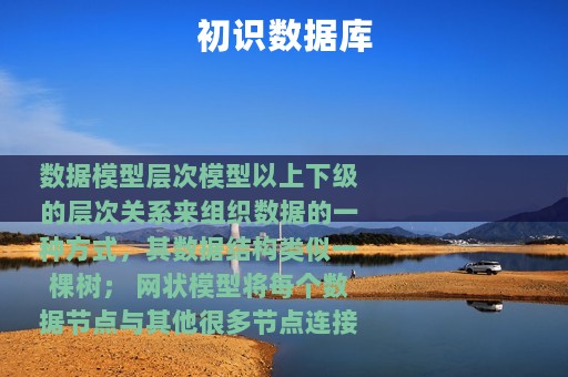 初识数据库