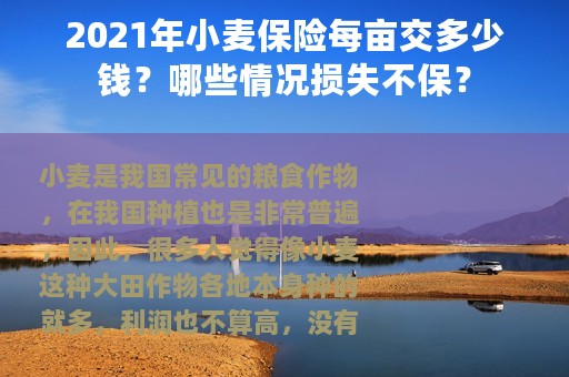 2021年小麦保险每亩交多少钱？哪些情况损失不保？