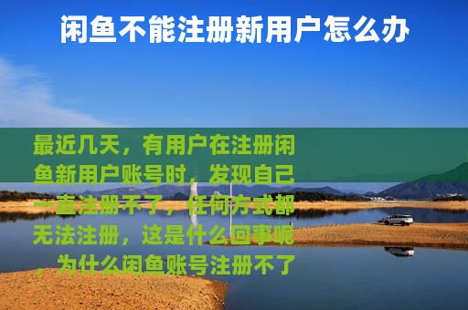闲鱼不能注册新用户怎么办