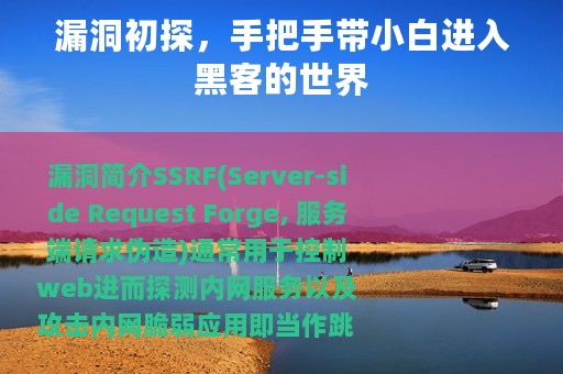 漏洞初探，手把手带小白进入黑客的世界