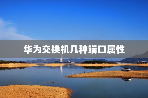 华为交换机几种端口属性