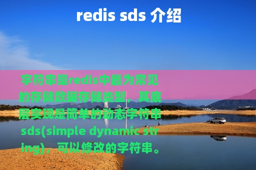 redis sds 介绍