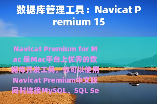 数据库管理工具：Navicat Premium 15
