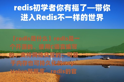 redis初学者你有福了—带你进入Redis不一样的世界